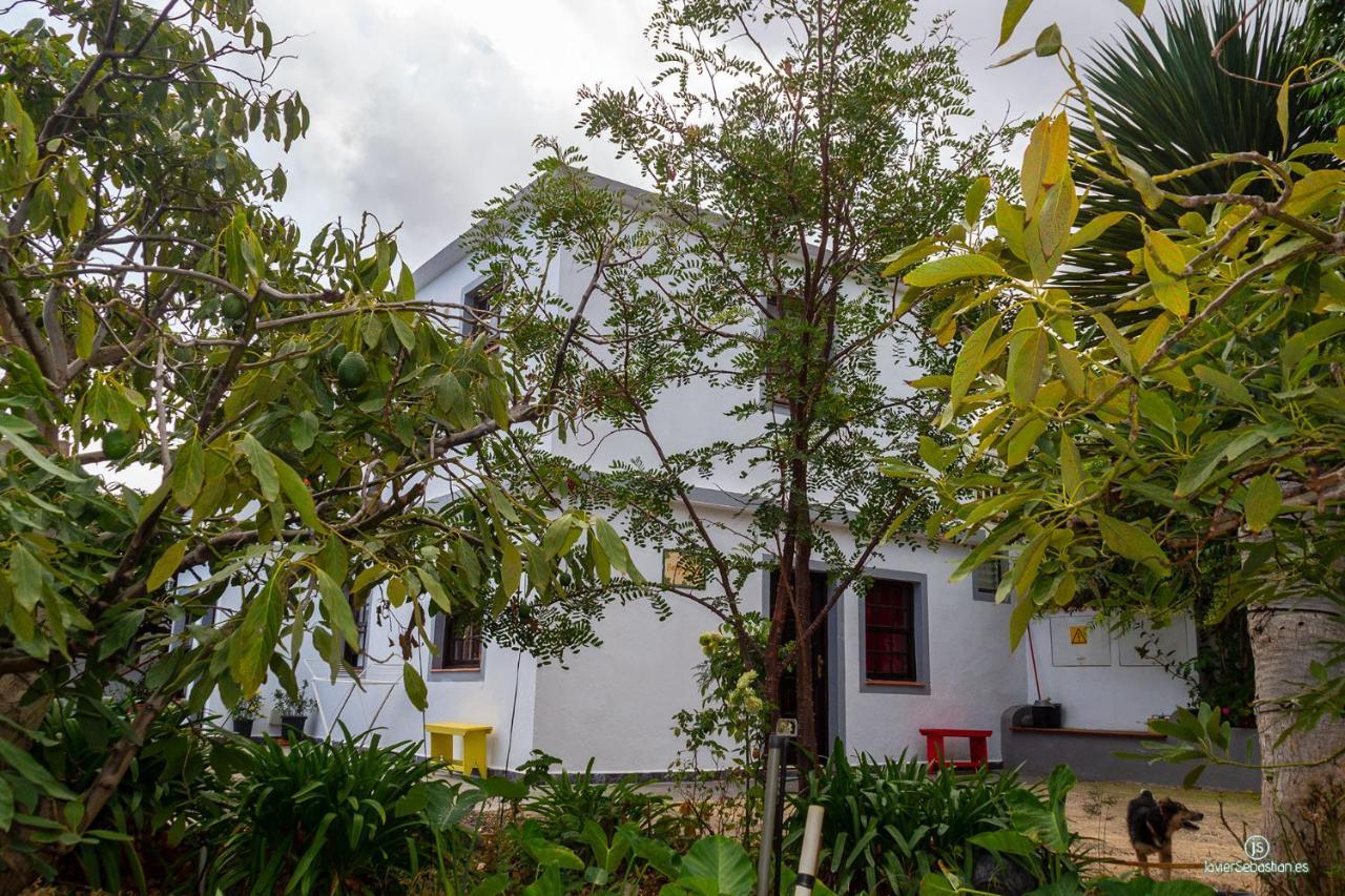 Bodega Goyo Apartment Puntallana Exterior photo