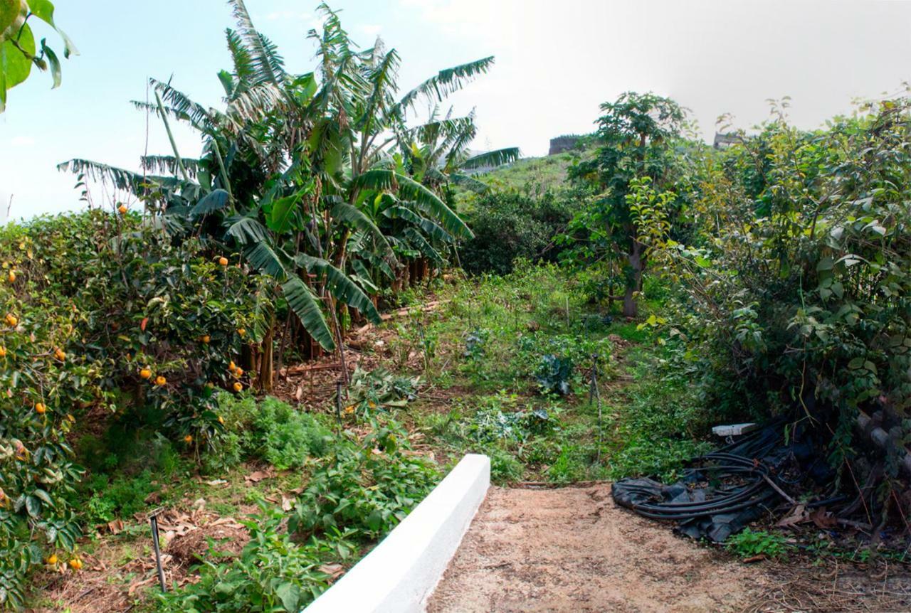 Bodega Goyo Apartment Puntallana Exterior photo
